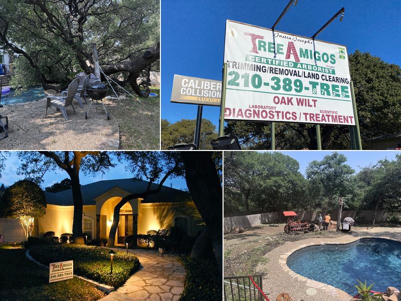 Tree Amigos Tree Service