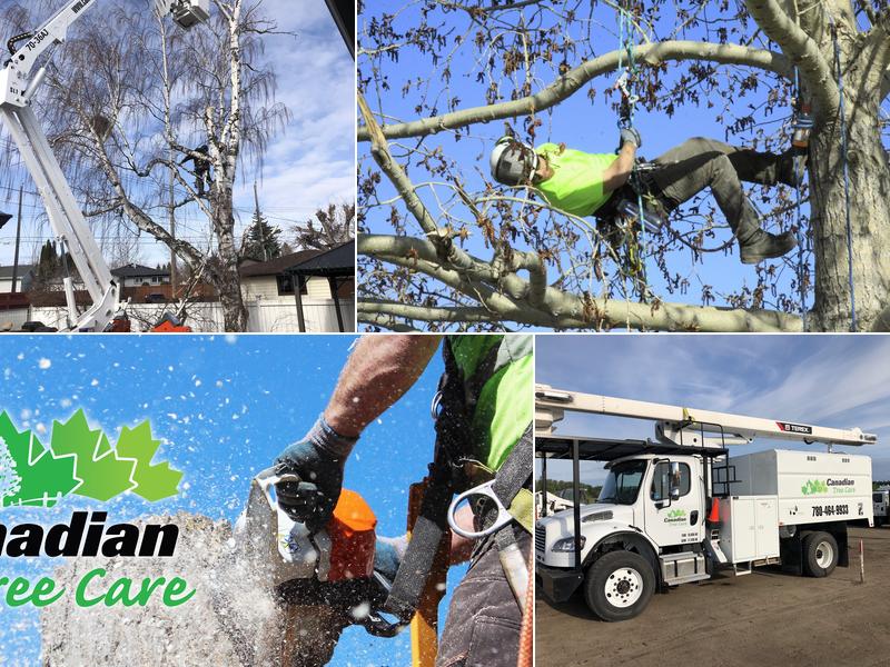 Canadian Tree Care