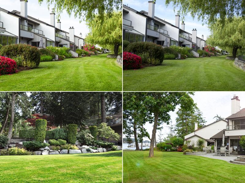 Green Image Lawn and Garden