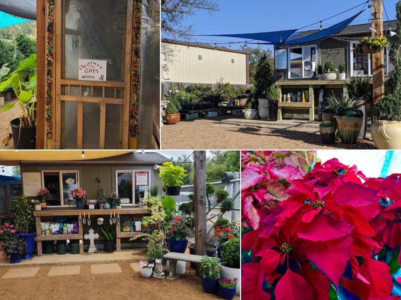 Green Planet Scapes of Austin