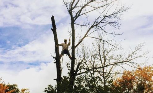 FRASER TREE CARE: Hamilton, Stoney Creek, Grimsby, Burlington