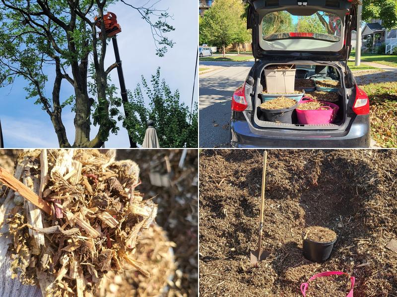 Landgraff Tree Service