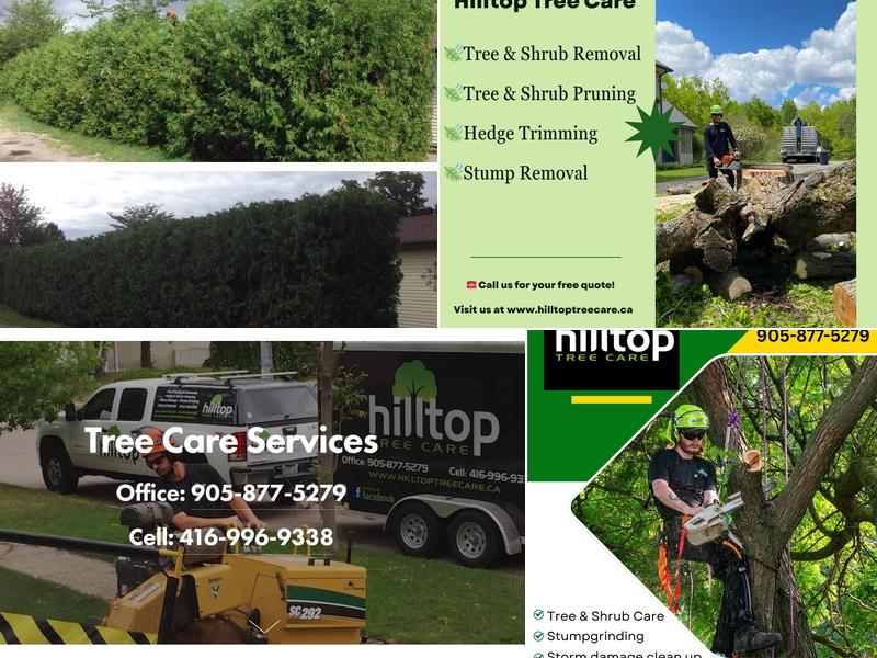 Hilltop Tree Care