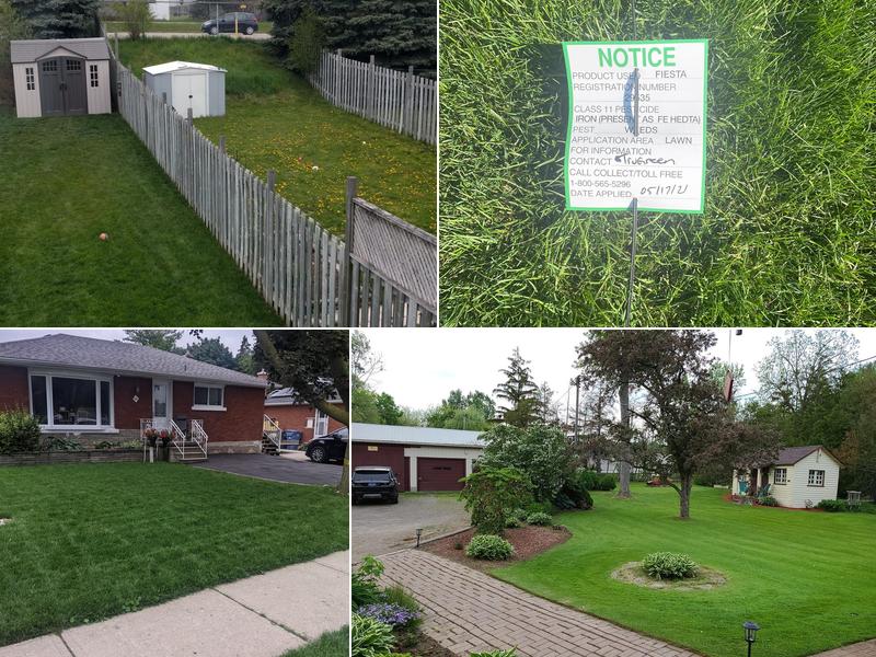 TruGreen Lawn Care