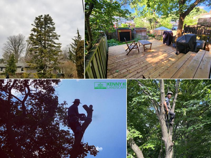 Kenny Kim Landscaping