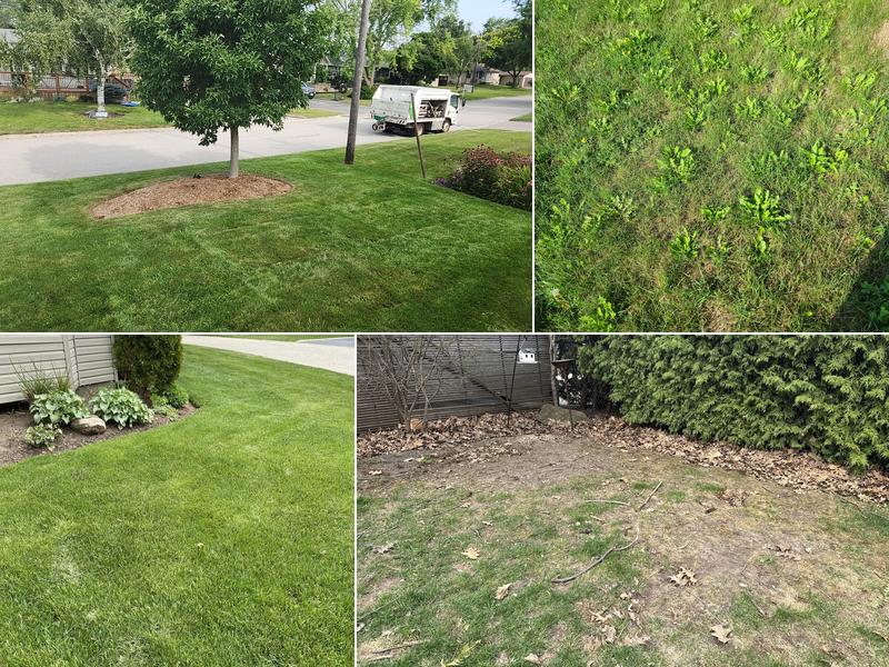 TruGreen Lawn Care
