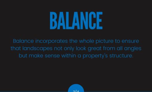 Affordable Lawn Care and Landscape