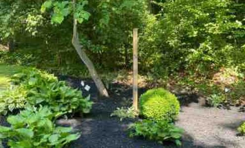 Patricia Multiservices & Landscaping