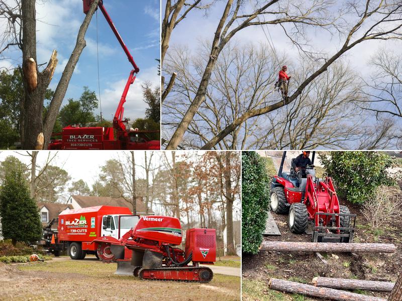 Blazer Tree Service
