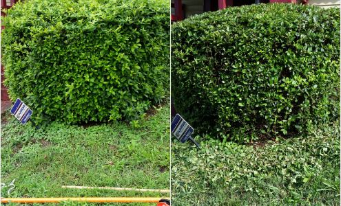 Ready Able Mason Lawn Services, LLC