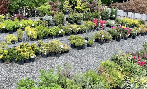 The Landscape Store, Salem