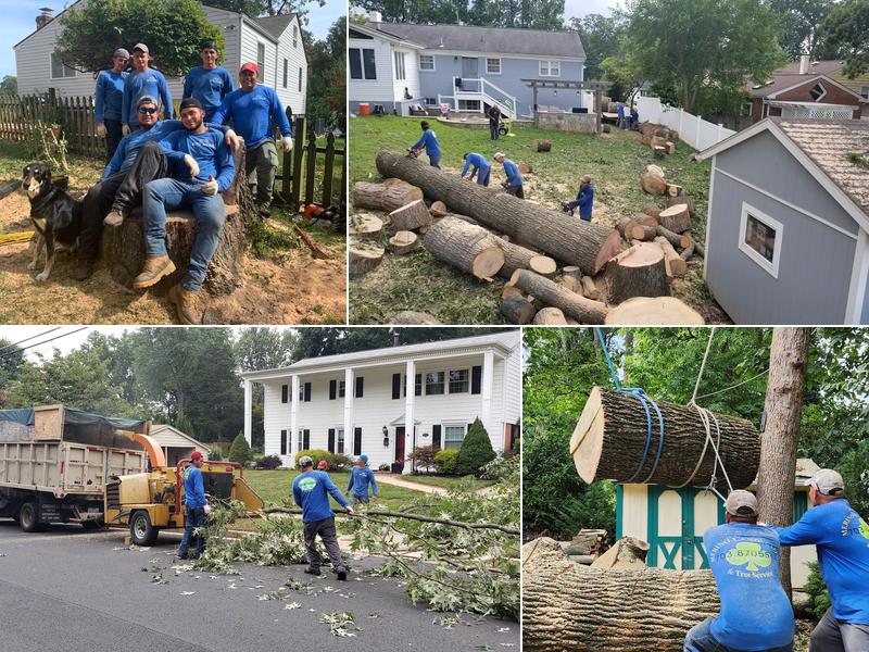 Merino Landscaping & Tree Service