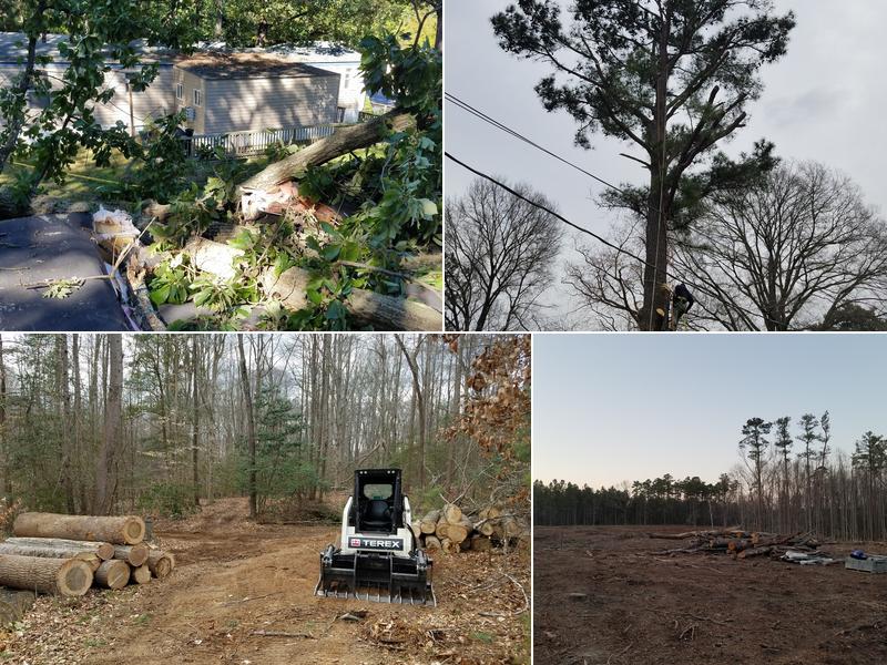 Boseman's Tree Service