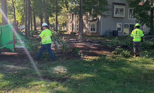 Pittman's Tree & Landscaping