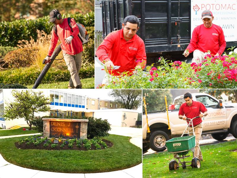 Potomac Lawn Professionals