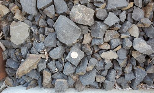 Storwick Tree & Landscape