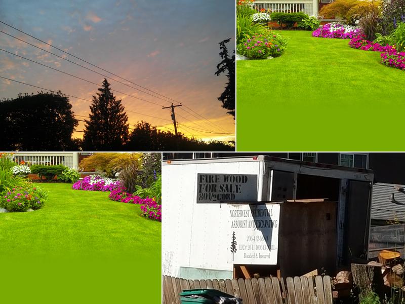 Northwest Residential Arborist And Excavating