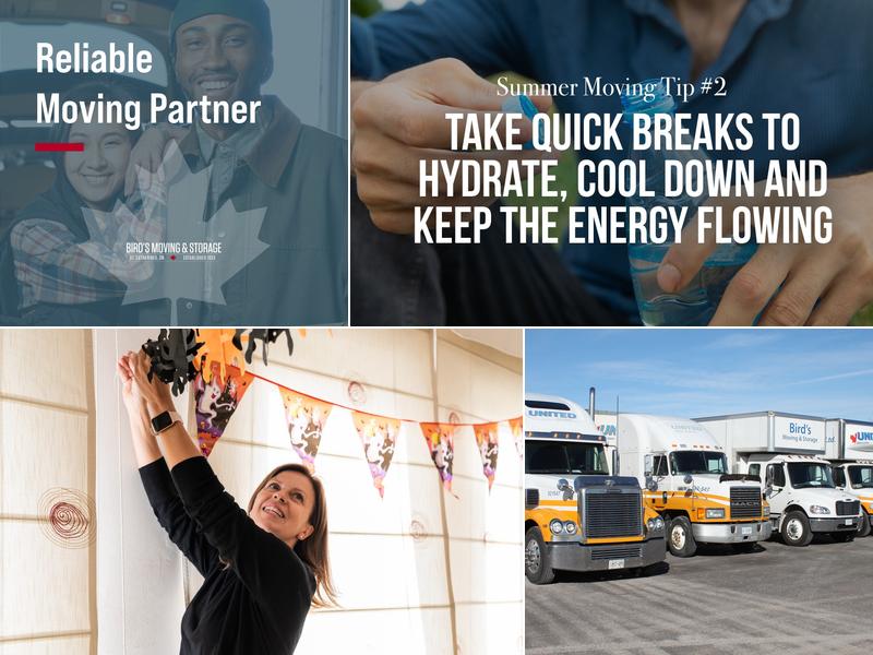 Bird's Moving & Storage