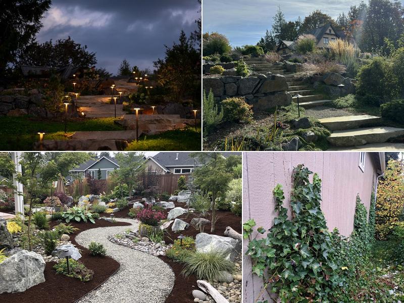 Blacklotus Landscaping LLC