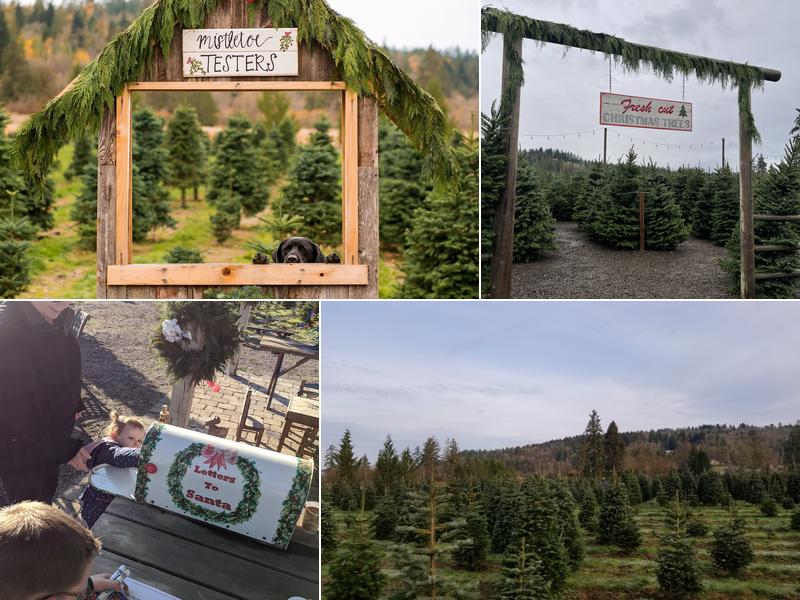 JP Landscape Tree Farm