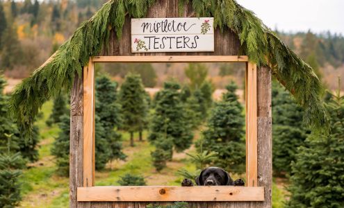 JP Landscape Tree Farm 29726 NE Cherry Valley Rd, Duvall Washington 98019