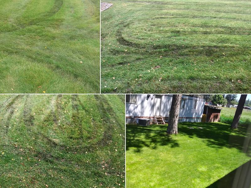 Keith's Lawn & Landscape