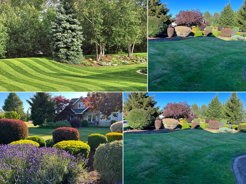 Windwood Landscape Inc.