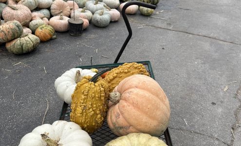 Scenic View Landscapes & Garden Center, LLC 2320 Elmwood Rd, Green Bay Wisconsin 54313