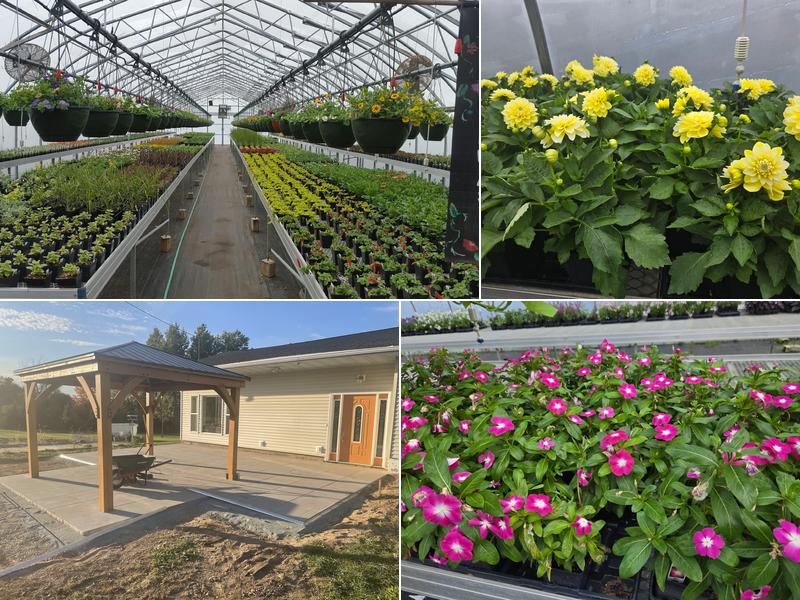 Down To Earth Greenhouse