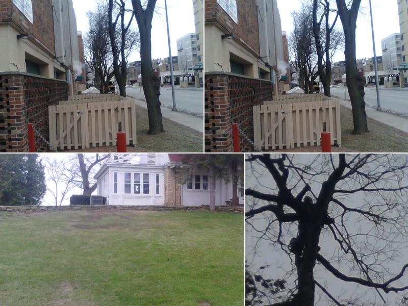 Reliable Tree & Landscaping