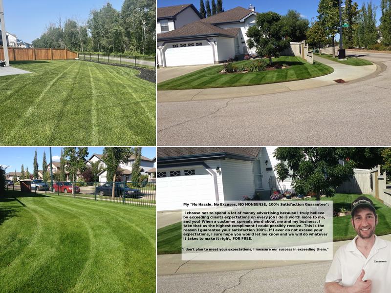 Dave Does Lawns Ltd.