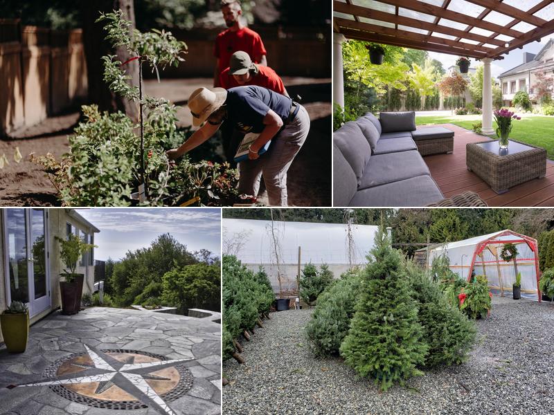 Down to Earth Gardens & Nursery