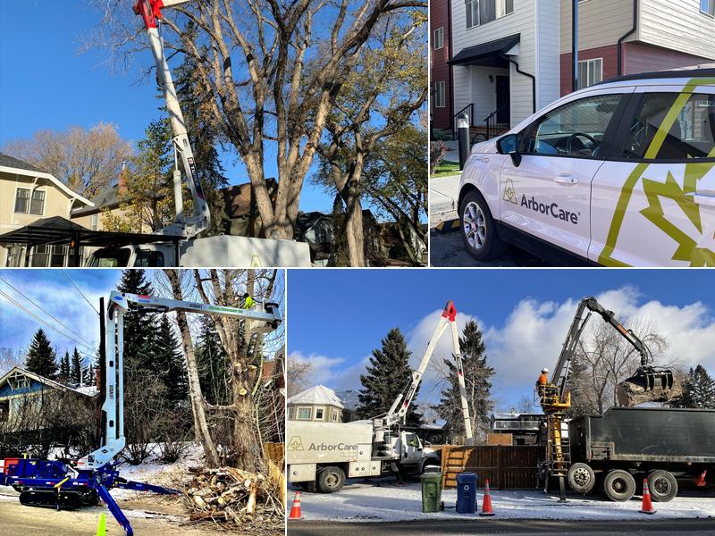 ArborCare Tree Service