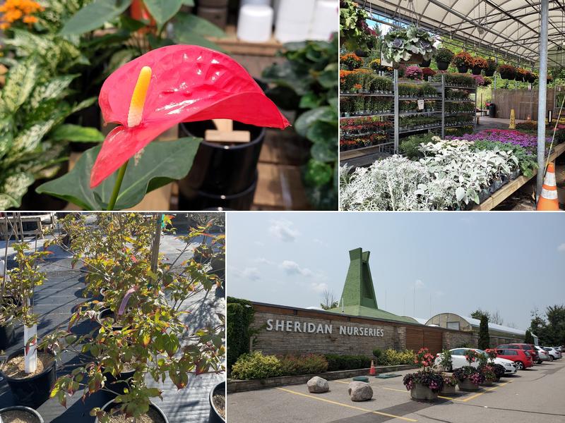 Sheridan Nurseries