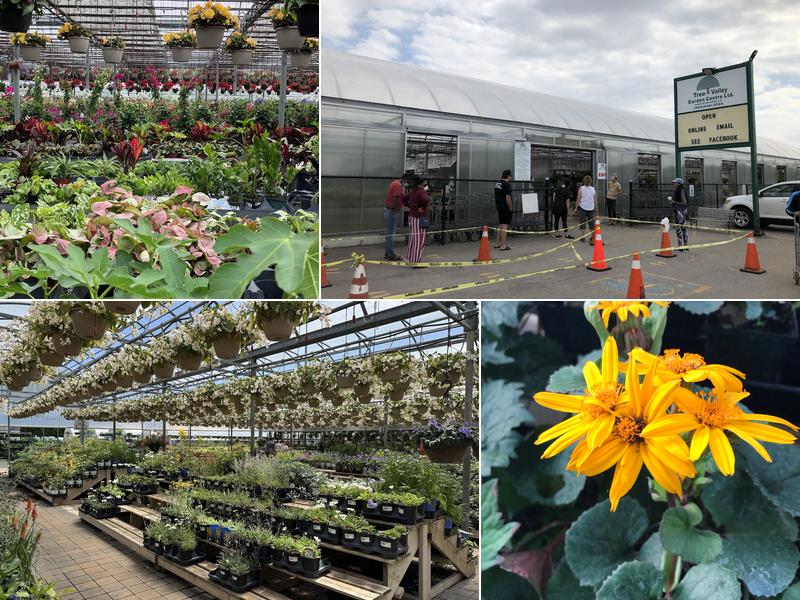 Tree Valley Garden Centre