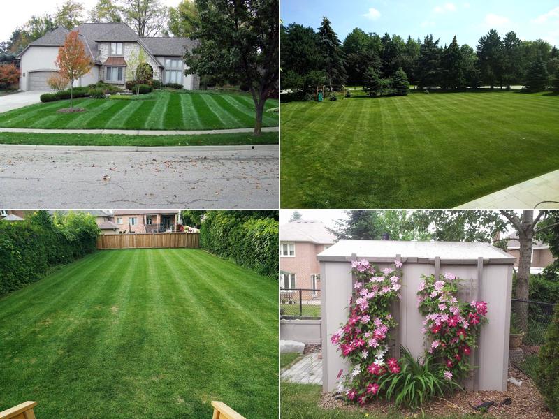 The Gilded Garden Property Services