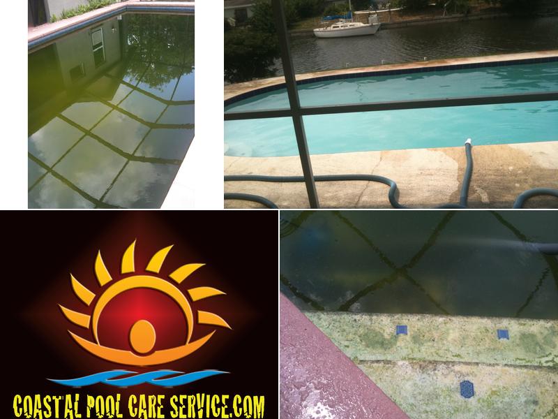 Coastal Pool Care Services