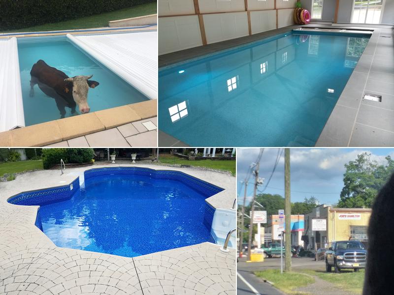 Spartan Pools And Spas, Inc.