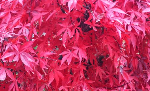 Town & Country Pool Services 40 Millbrook Rd, New Vernon New Jersey 07976