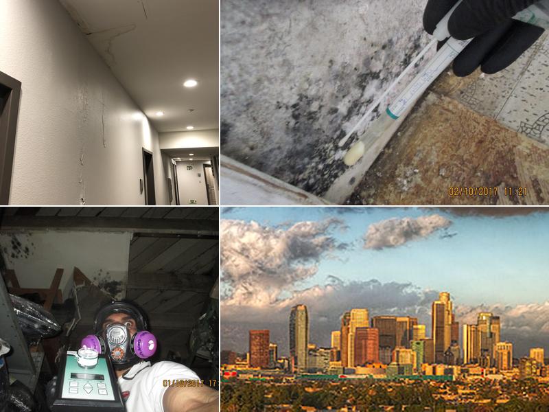 Same Day Mold Testing Inc