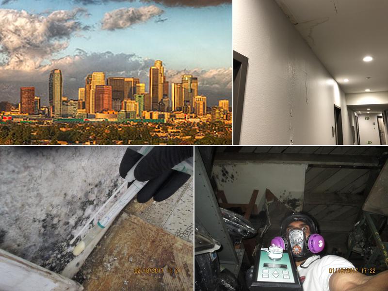Same Day Mold Testing Inc