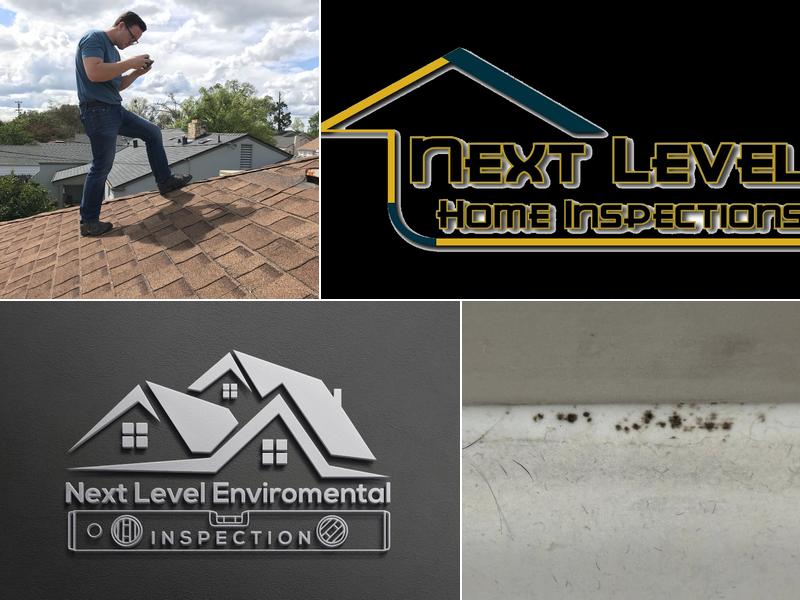 Next Level Home Inspections