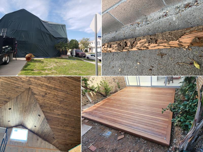 Titan Termite and Construction