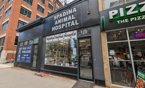 Spadina Animal Hospital