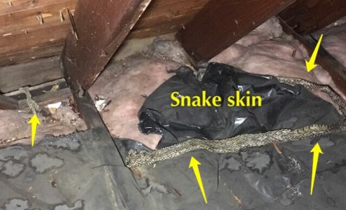 Premiere Property Inspections, LLC 67820 Mills Rd, St Clairsville Ohio 43950