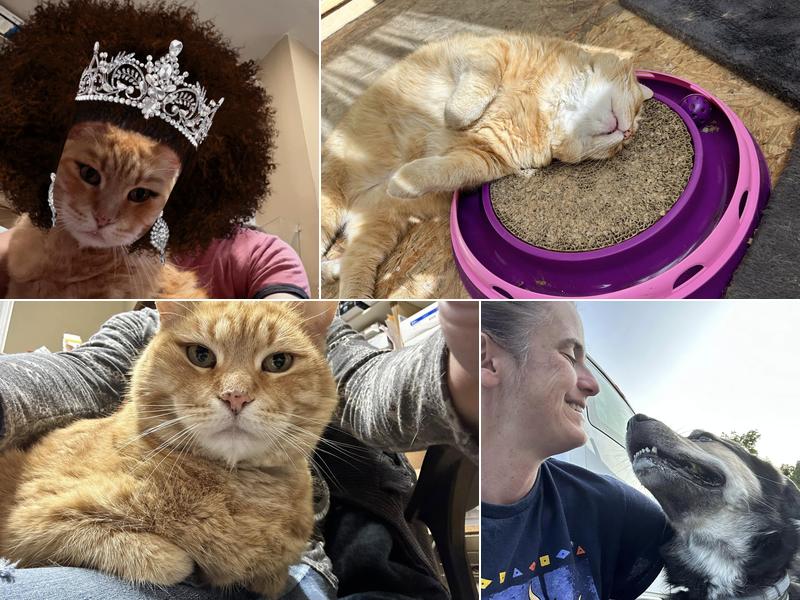 Radon Detection & Control