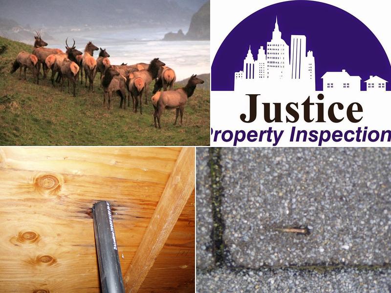 Justice Property Inspections