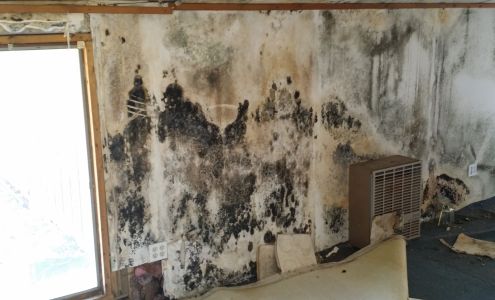 Restoration and Environmental Safety Technologies (REST Environmental) 55 Pond St Suite 421, Ortonville Michigan 48462