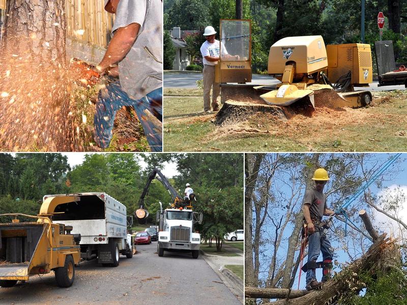 National Tree Service