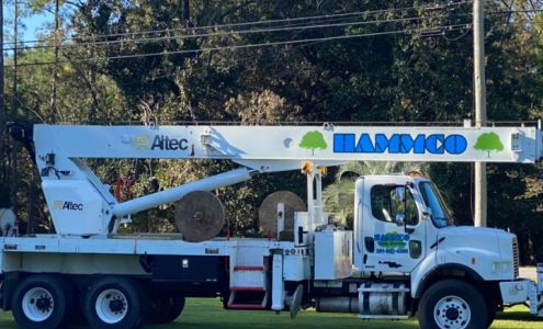 Hammco Tree Service